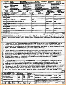 police report sample example yogurt template atlanta accident incident vehicle