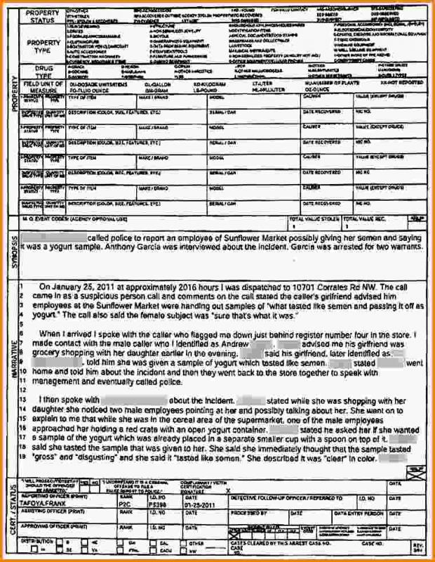 police-report-example-template-business