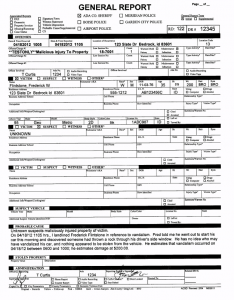 police report example police report template