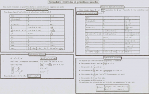 police report format pagem