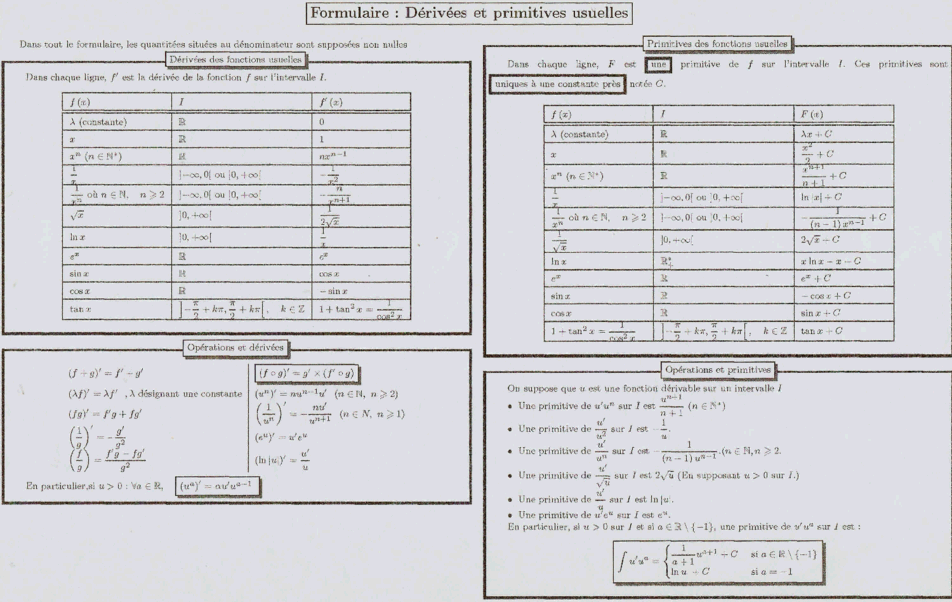 police report format