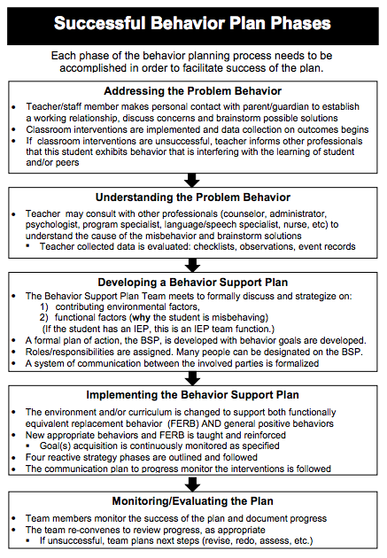 positive behavior support plan