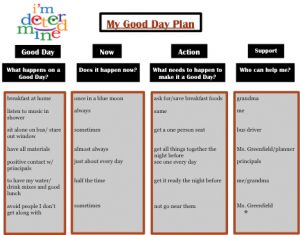 positive behavior support plan good day plan