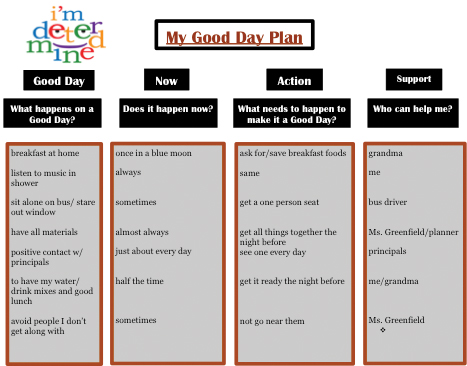 positive behavior support plan