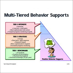 positive behavior support plan positive behaviour support plan template