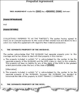 prenup agreement examples prenupsample