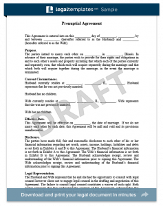 prenup agreement examples prenuptial agreement