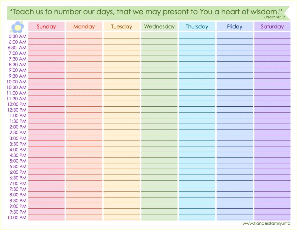 daily hourly schedule template word free