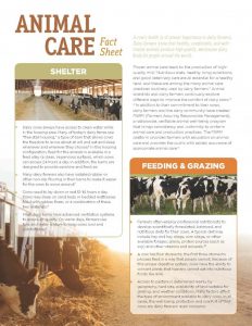 printed newsletter template wda animal care fact sheet lr page x