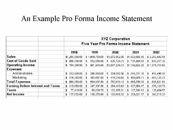 pro forma income statement template