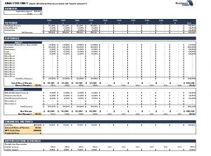 pro forma template pro forma annual variable output