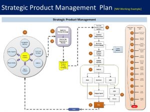 professional development plan sample product commercialization