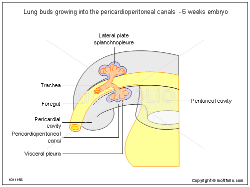 professional ppt templates