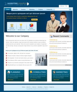 professional website templates