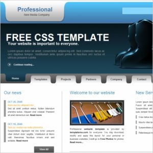 professional website templates professional websites templates free website templates for free professional website templates