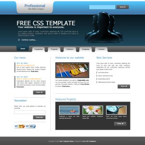 professional website templates templatemo professional