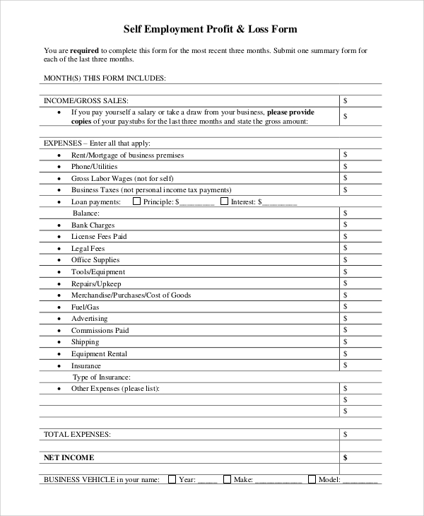 profit and loss form