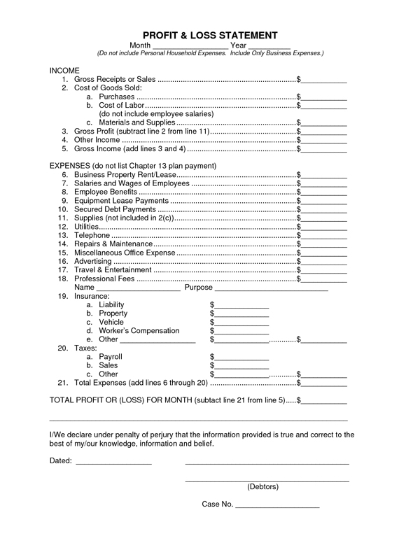 profit and loss statement form