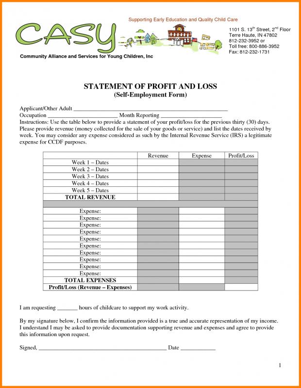 profit and loss statement self employed