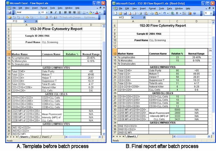 profit and loss templates