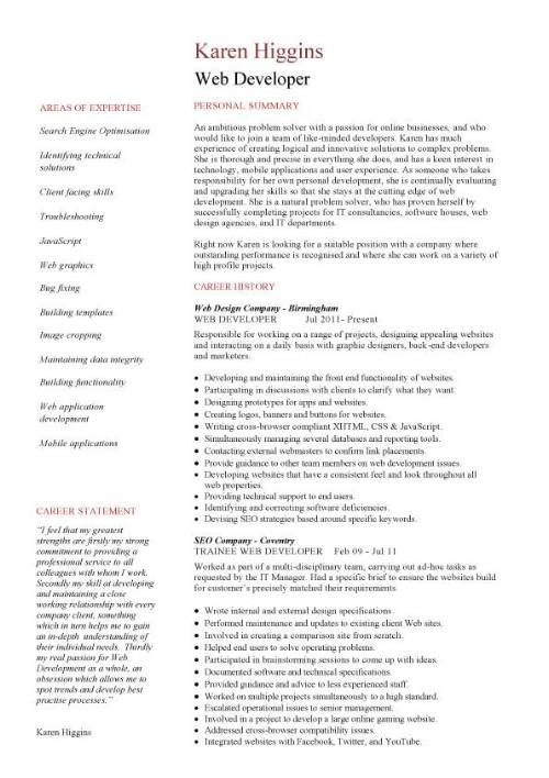 programmer resume example