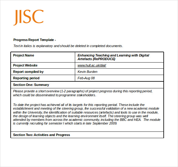 progress report example