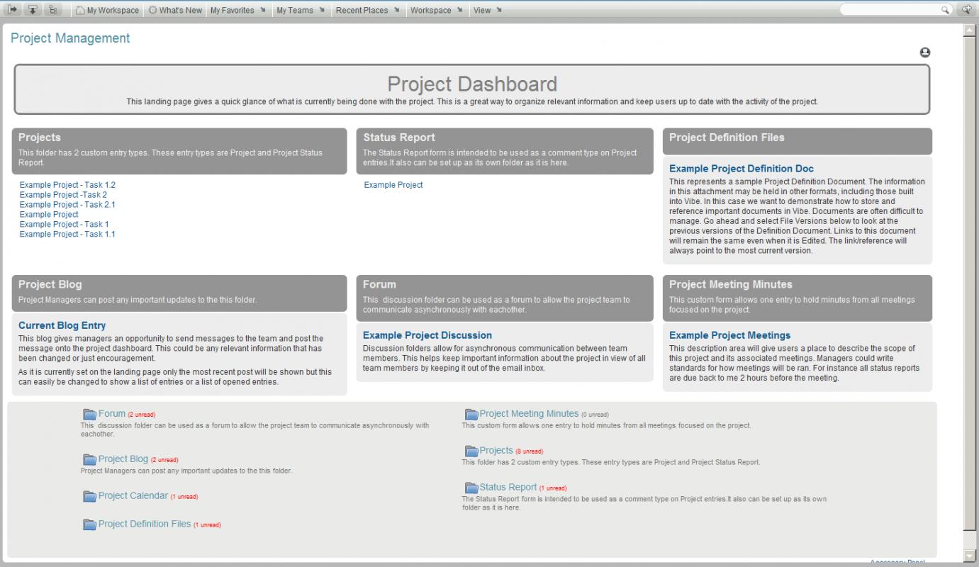 project management forms