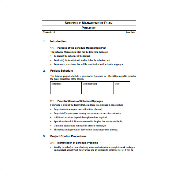 project management plan example