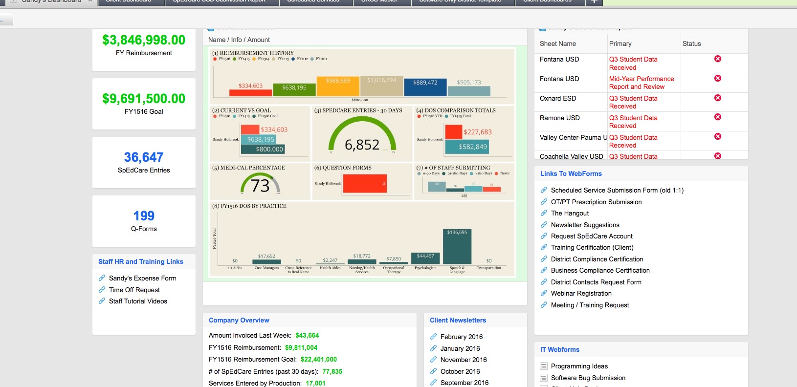 project report example