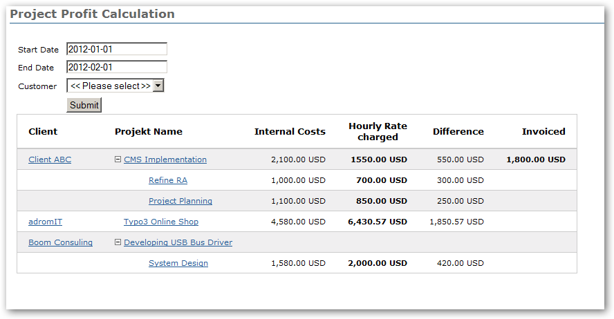 project report example