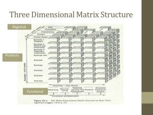 project report example matrix structure