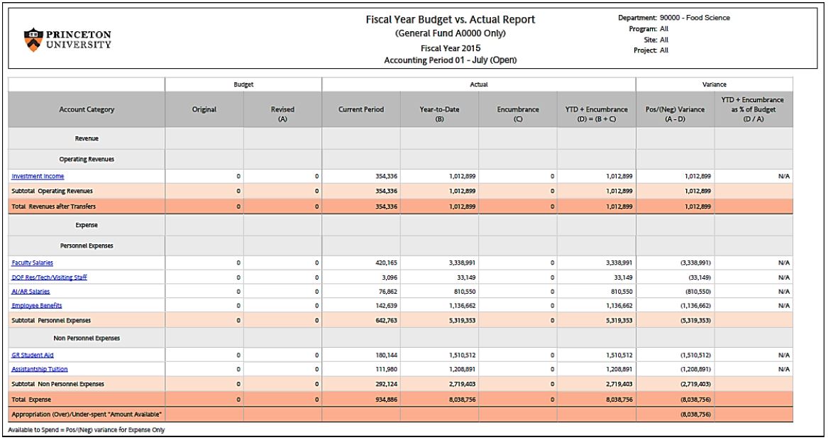 project report format