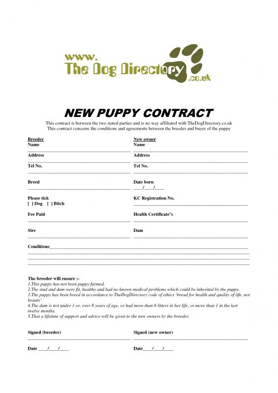Puppy Bill Of Sale Template Business