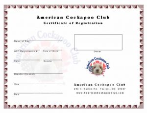 puppy birth certificate certificate cockapoos