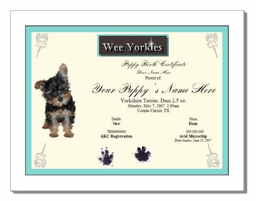 dog-birth-certificate-template