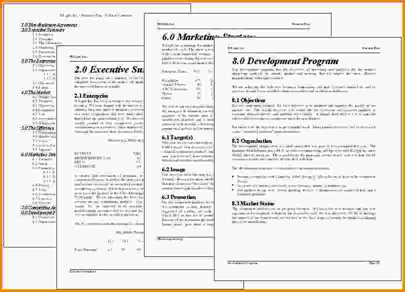 real estate business plan template