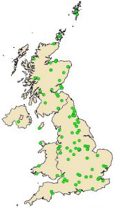 research paper samples samplecollectionmap