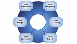 research report formats data tabulation services