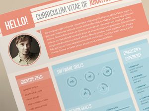 resume formats free curriculum vitae for a graphic designer