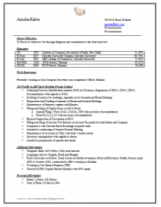 resume template doc company secretary resume sample doc ()