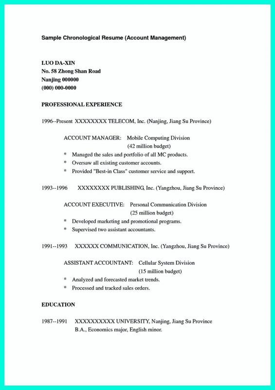 resume template microsoft word 2007