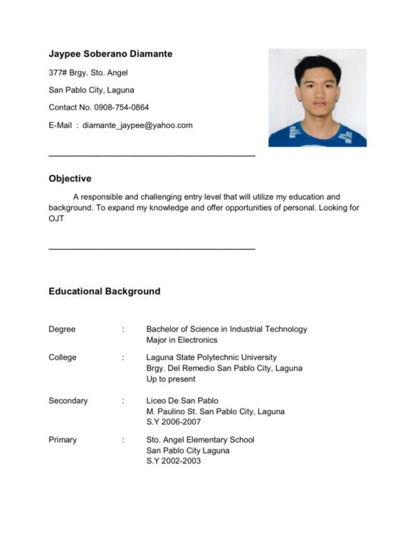 resume templates free download for microsoft word