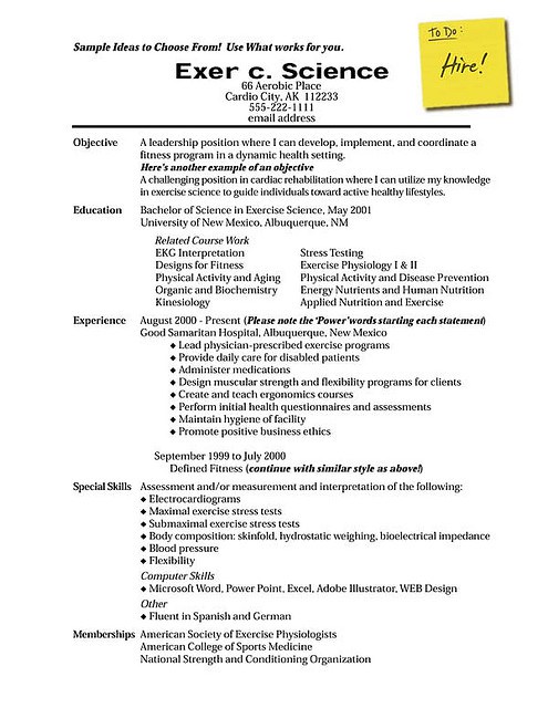 resume writing template