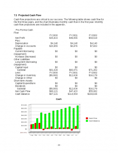 retail business plan specialty retail business plan