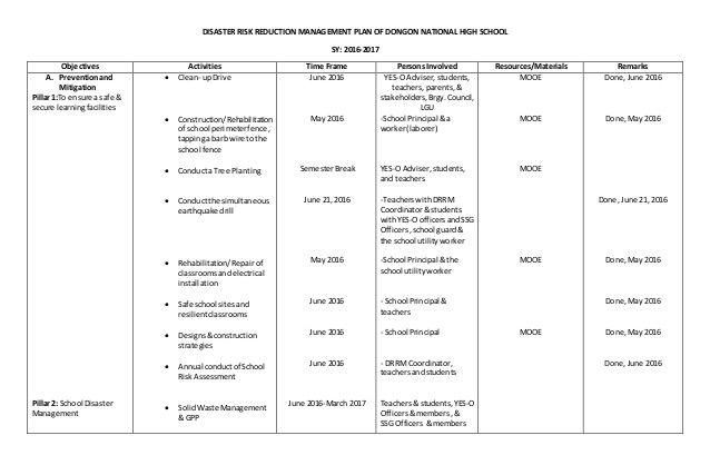 risk management plan example