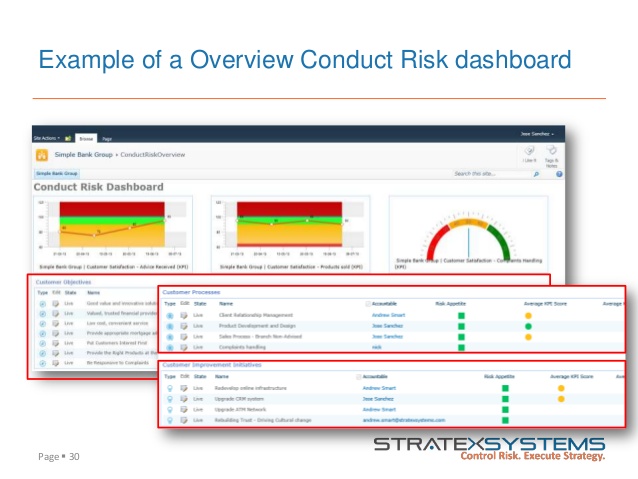 risk management plan example