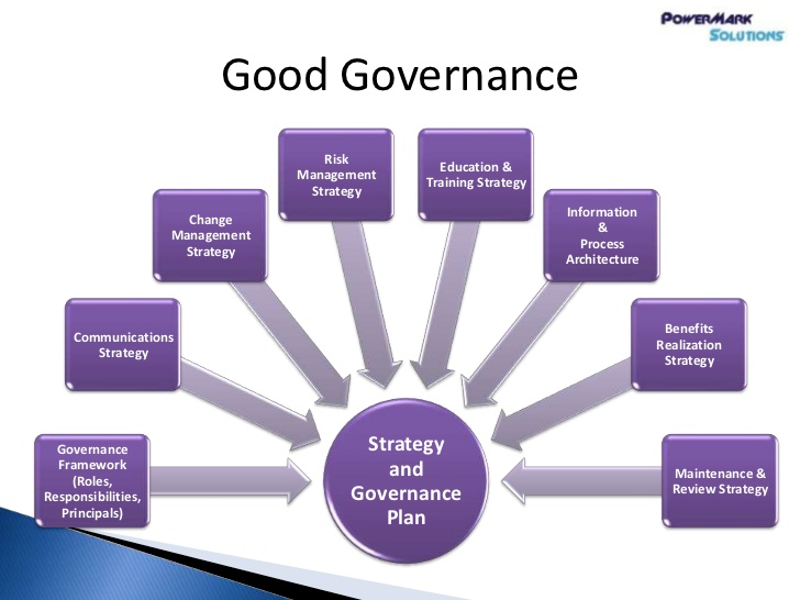 risk management plan example