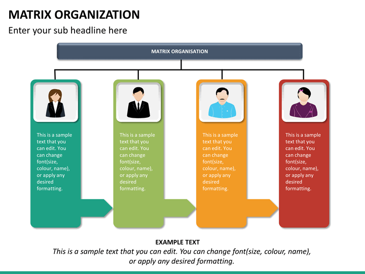 risk management plan template