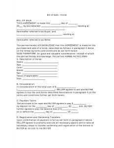 sale contract template horse bill of sale form