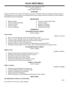 sales letter samples team lead management resume full